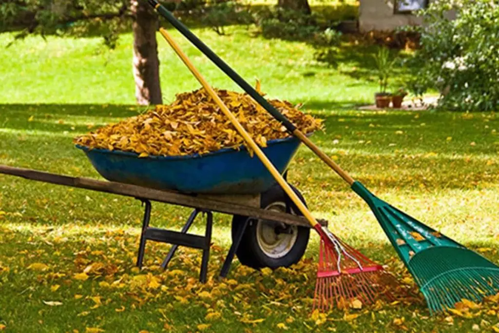 Spring-Cleanup-1024x683